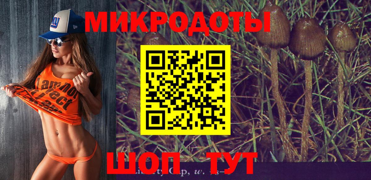 Кубинка  Псилоцибиновые грибы Cubensis  цены наркотик  Псилоцибиновые грибы Psilocybine cubensis  Вход с VPN 